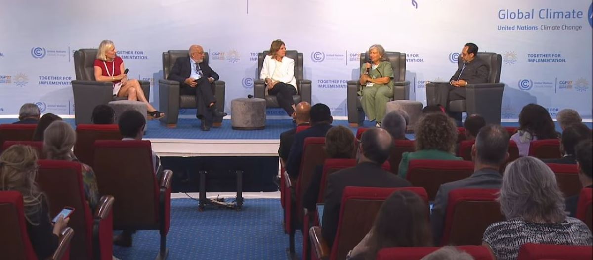 Panel of Experts at COP27